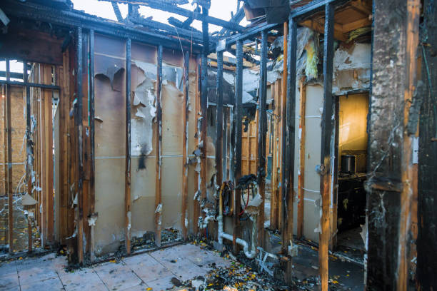 Professional Fire Damage Removal technician working in Tysons, VA